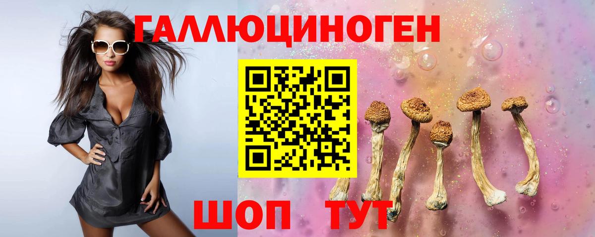 Псилоцибиновые грибы прущие грибы  магазин  наркотиков  Октябрьский  Вход с VPN 